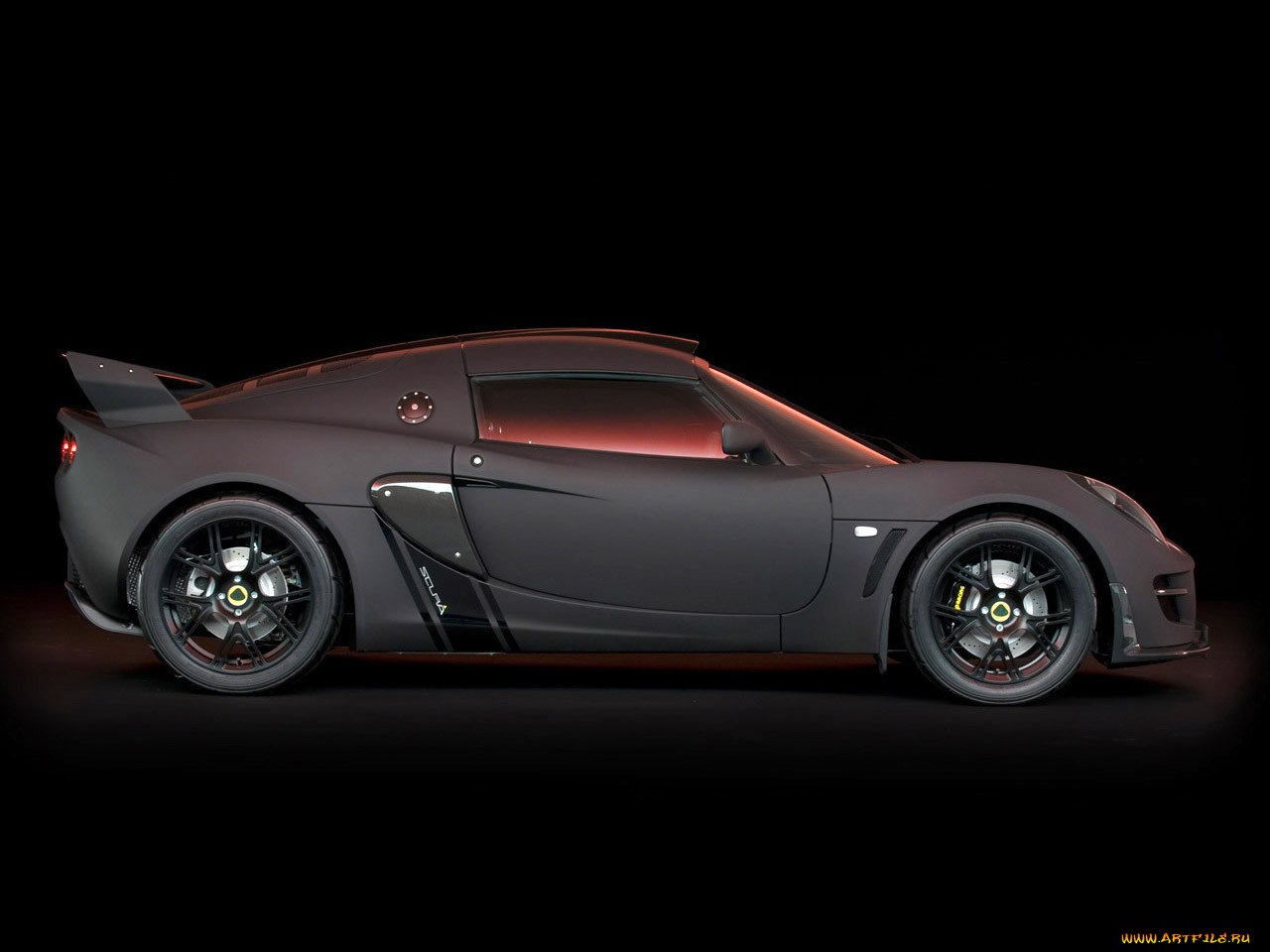 , lotus